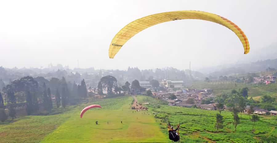 Jakarta: Paragliding on Top Mountain & Tea Plantation - Key highlights at a glance