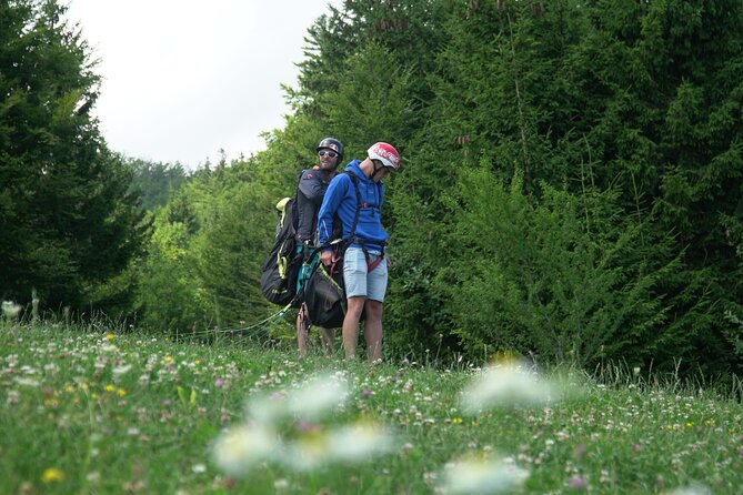 Lake Bled Tandem Paragliding - Who this is best for (and who should skip it)