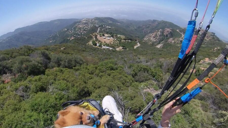 Malibu Hills to Beach: Tandem Paragliding Flight Adventure - Supair Equipment and Safety Systems That Reduce the Unknown