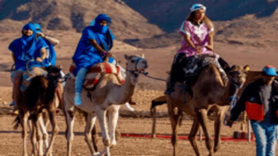 Marrakech Adventure: Paragliding, Camel Ride & Breakfast - Quick hits