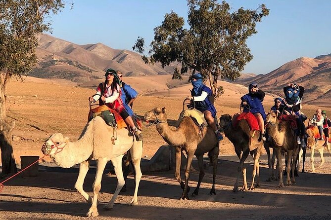 Marrakech : Paragliding & Atlas Mountains Trip - Who should book this Atlas Mountains paragliding trip