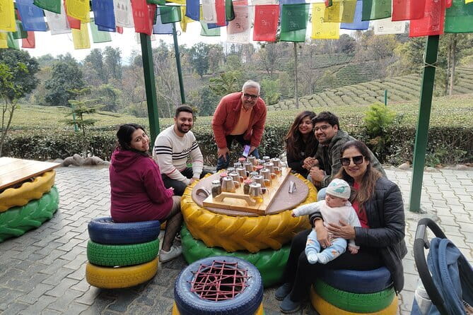 Palampur and Bir Tour, Tea Gardens, Adventures and Paragliding - Palampur tea gardens: tea cultivation, tasting, and what to expect