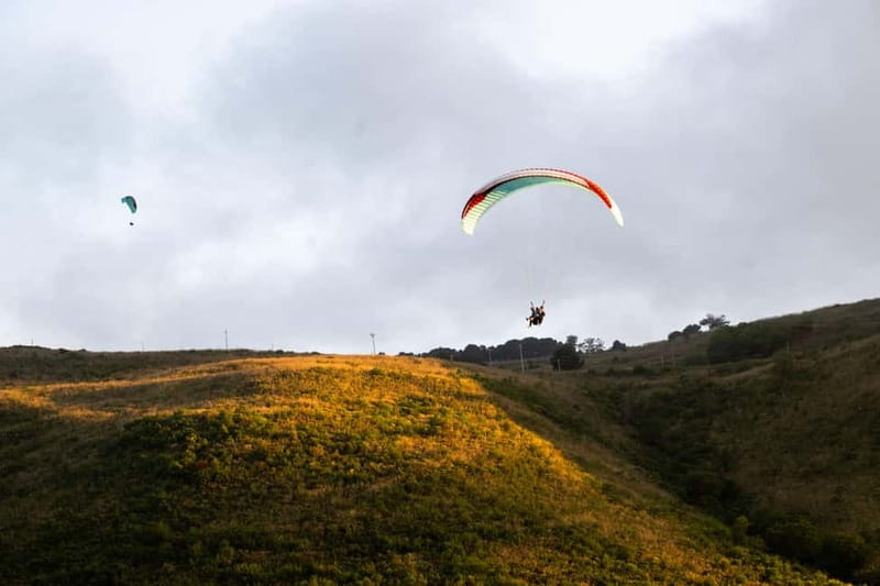 Palermo: paragliding flight with instructor foto and video - Key Things That Make This Paragliding Flight Worth It