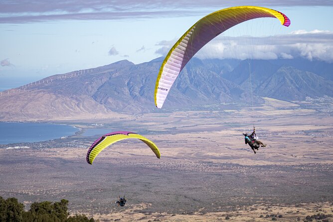Paraglide Maui's 1K Tandem Paragliding Experience - The 1K Tandem Flight: Views, Timing, and How It Feels