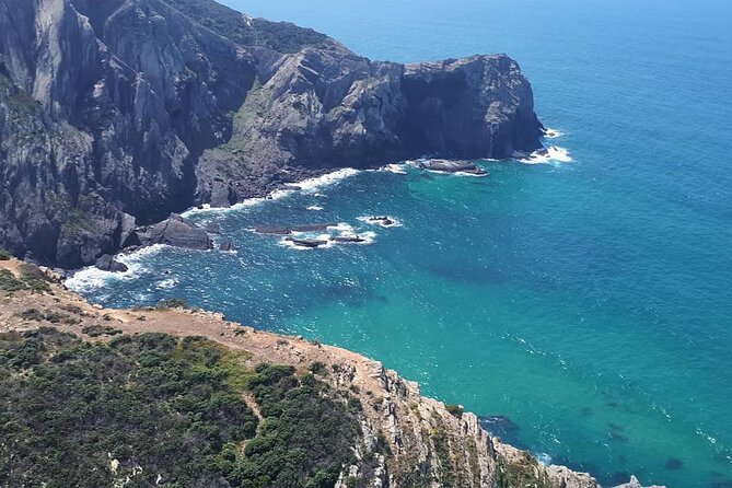 Paragliding Algarve Experience - Price and Value: Is $156.20 a Fair Deal?