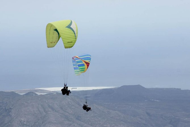 Paragliding Epic Experience in Tenerife with the Spanish Champion Team - Quick Highlights You’ll Care About