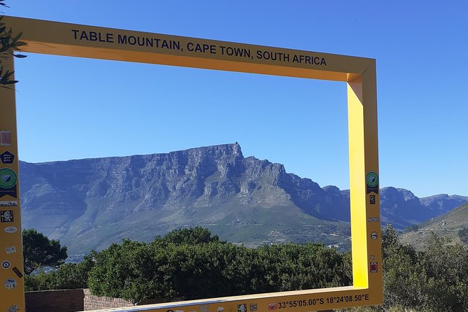 Paragliding in Cape Town - Should you book this paragliding experience or look elsewhere?