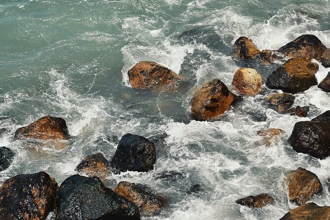 Paragliding Rosarito & Puerto Nuevo Lobster - Puerto Nuevo Port Break: Lobster Area Time and Tequila Tasting