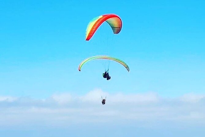 Private Activity Paragliding Flight in Gran Canaria - Why This Flight Feels Like Gran Canaria, From Above