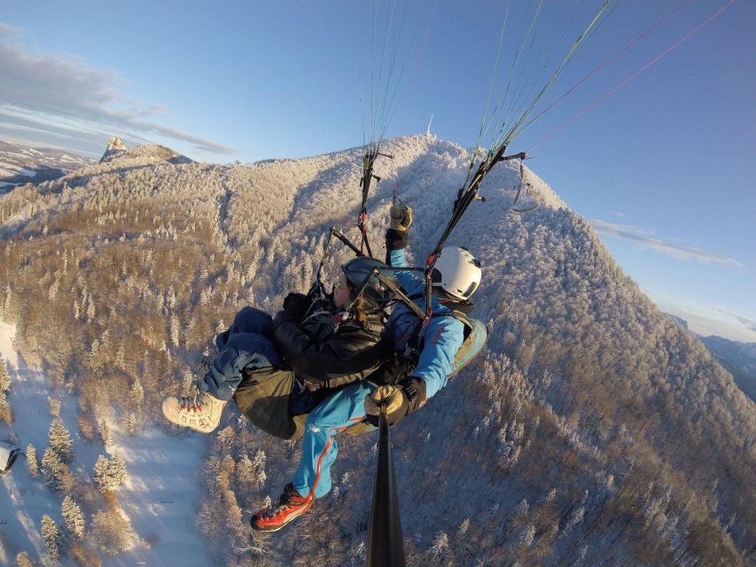Salzburg like an eagle: tandem paragliding from Gaisberg - Why Gaisberg Is The Shortcut To Flying Over Salzburg