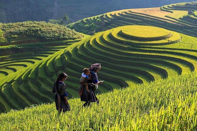 Tandem Paragliding Experience in Hanoi - Who This Is Best For (and who should skip it)