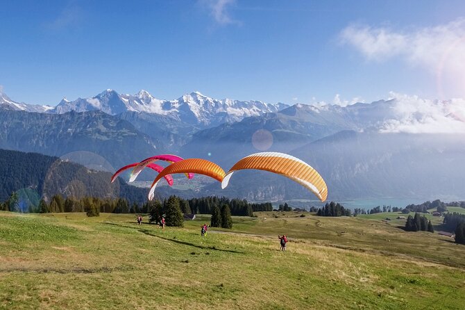 Tandem Paragliding Experience with Transport from Interlaken - Best Time to Go: Weather Decisions Happen Close to Flight Time