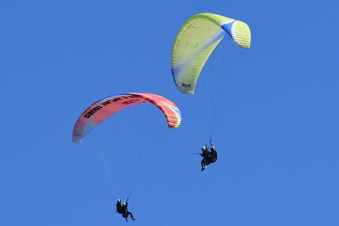 Tandem Paragliding Flights from Vik - Photos and Video: Why This Matters More Than You Think