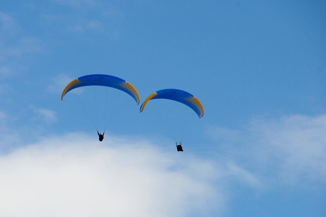 Tandem paragliding in the Stubai Valley near Innsbruck - Tandem Paragliding Over the Stubai Valley: What the One Hour Feels Like