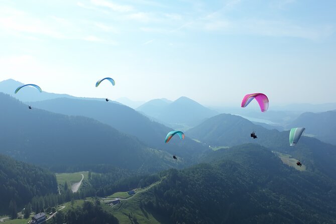 Tandem Paragliding St. Gilgen - Wolfgangsee - Price and Value: Is $239.62 Worth It?