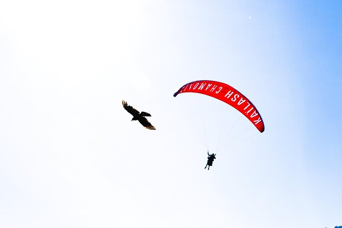Two-seater paragliding flight in Chamonix - Photos and Video: Nice Extras, Plan for the Cost